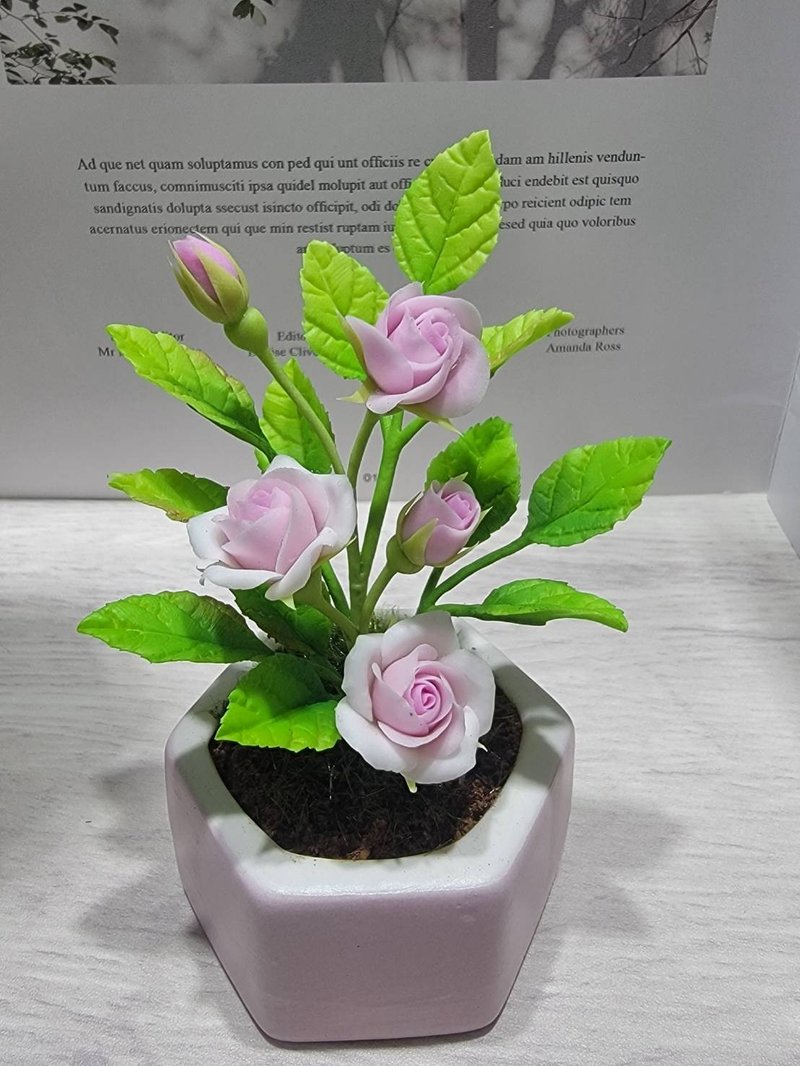 冷瓷土/黏土花藝-玫瑰花小盆栽 - 植栽/盆栽 - 黏土 
