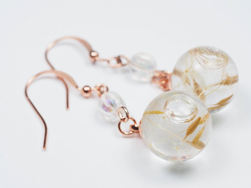 OMYWAY Handmade Dried Flower - Glass Globe - Earrings 1.4cm - ต่างหู - แก้ว ขาว