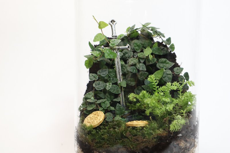 [Micro-landscape] The Sword Is Still Old - Sword Ruins/Indoor Plants/Birthday Gifts/Graduation Gifts - Plants - Glass Green