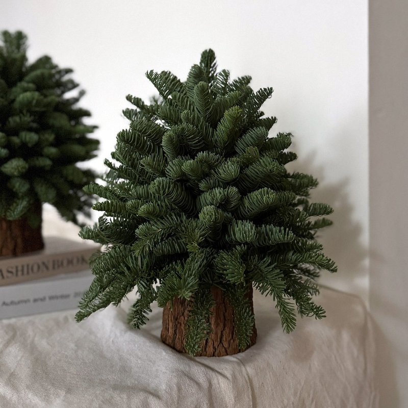 50 Fresh Noble Fir Unadorned Christmas Tree | Christmas Tree | Christmas Gift | Can Be Dried | Gift Exchange - ช่อดอกไม้แห้ง - พืช/ดอกไม้ 