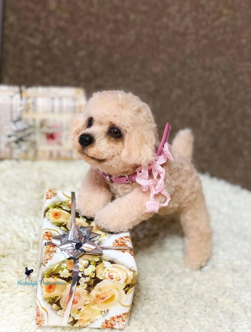 ショッキングピンクプードルの子犬、リアルなおもちゃ