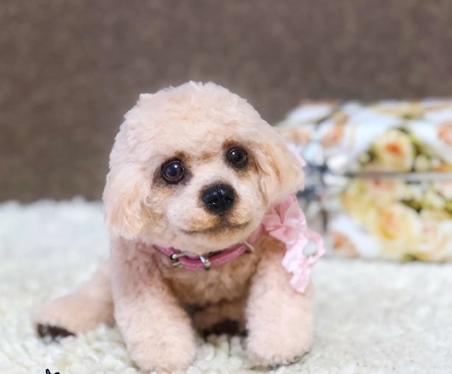 【激レア】キティ 可愛い 犬 ピンク パール プードル ワンチャン 激レア】キティ 可愛い 犬 ピンク パール プードル ワンチャン