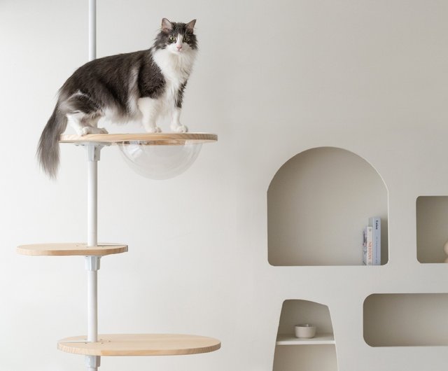 猫くん専用 PrimeSURF T33-425 1本のみ バラ売り 猫くん専用 PrimeSURF T33-425 1本のみ バラ売り