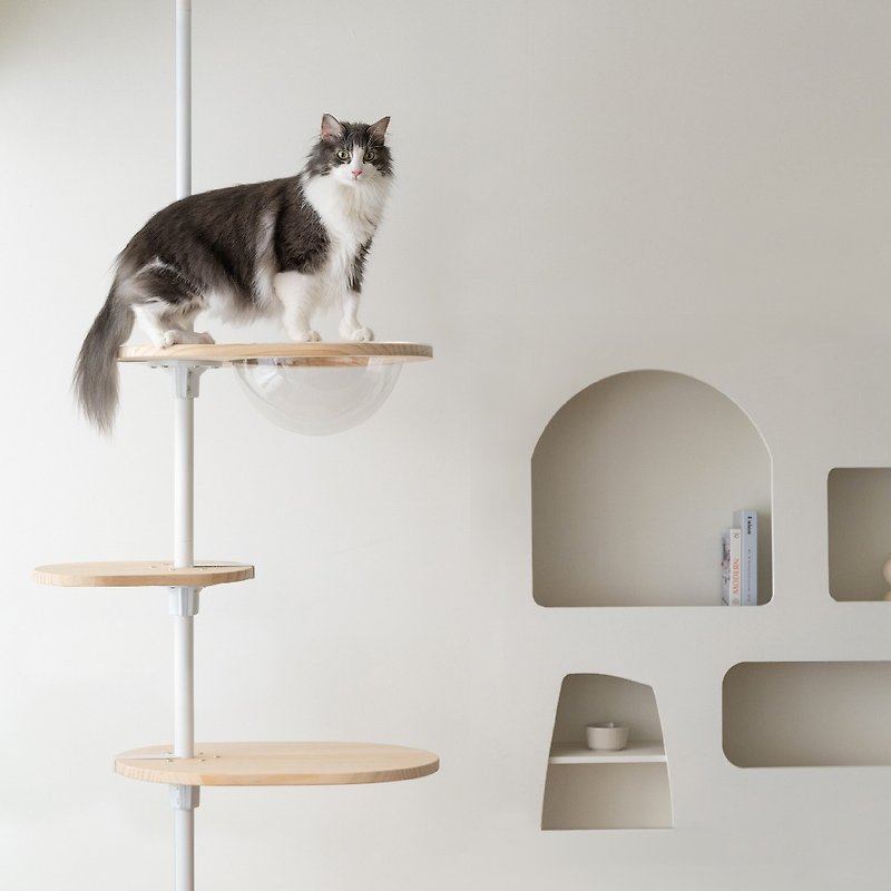 Entry-level wooden cat jumping platform - อุปกรณ์แมว - ไม้ สีกากี