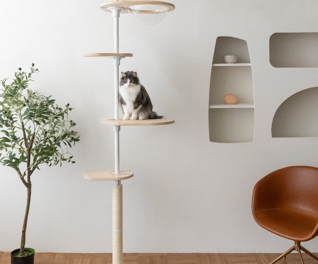 木製猫用ジャンプ台 エントリーレベル - ショップ Hug Cat Tree