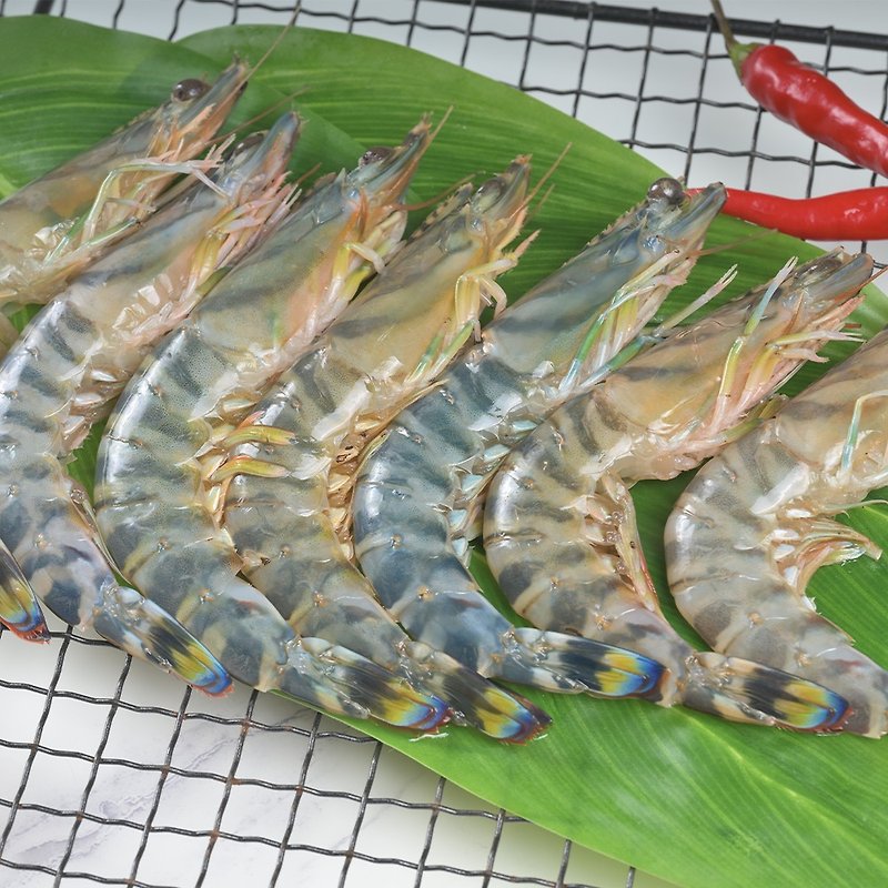 斑彩車海老 斑節蝦 - 其他 - 新鮮食材 金色