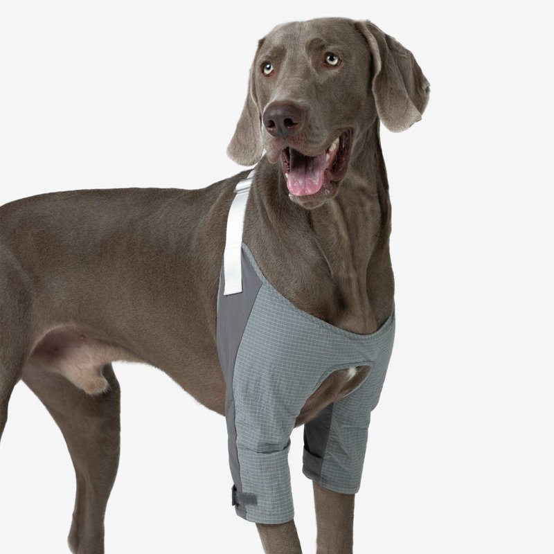 bump up【Elbow Pad】elbow protection clothing for medium to large dogs - ชุดสัตว์เลี้ยง - ไนลอน สีเทา