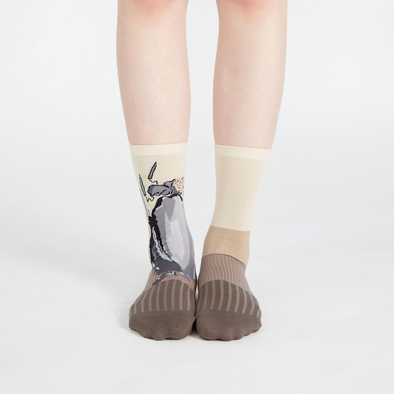 Zhong Kui 1:1 socks - ถุงเท้า - ไนลอน หลากหลายสี