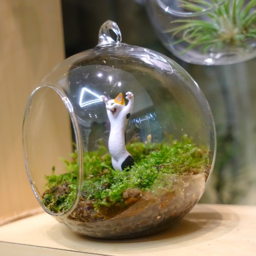 ガラスカプセル玩具と苔玉 - ショップ tinyscene フラワー/ガーデン