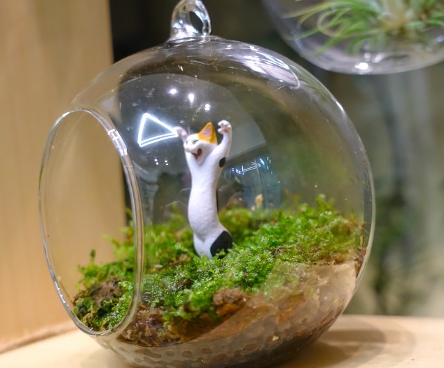 ガラスカプセル玩具と苔玉 - ショップ tinyscene フラワー/ガーデン