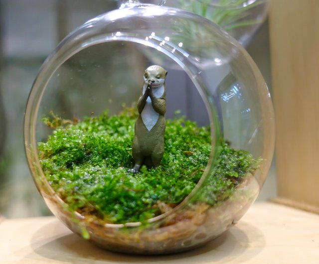 ガラスカプセル玩具と苔玉 - ショップ tinyscene フラワー/ガーデン