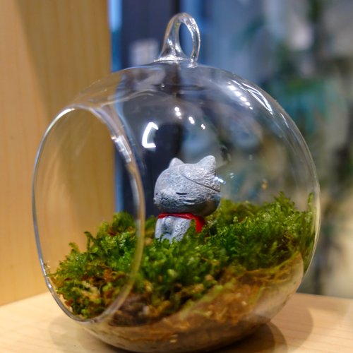 苔玉・小物置きガラス製台座 ガラスカプセル玩具と苔玉 - ショップ tinyscene フラワー/ガーデン