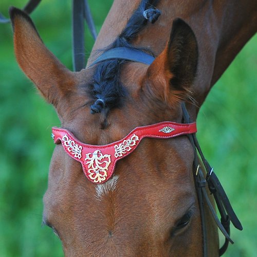 Equestrian Style Studio Browband for horses Handmade pony draft brow band Red horse tack Custom size