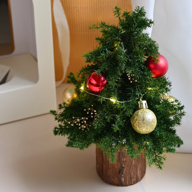 【聖誕節限定調香體驗】大豆蠟燭、聖誕樹DIY - 蠟燭/香氛/調香 - 其他材質 