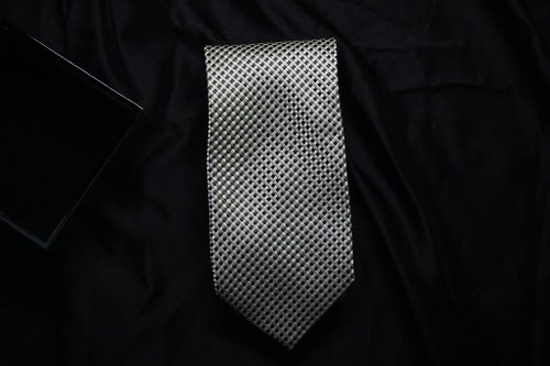 壞紳士 高端商務系列/淺綠色織百分百真絲領帶