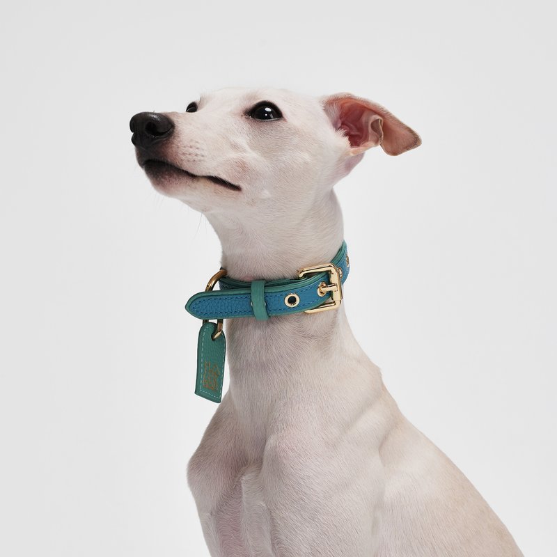 Pets Collar 小牛皮狗狗項圈 - 項圈/牽繩 - 真皮 