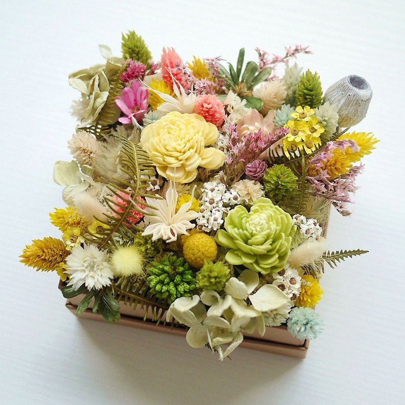 Midsummer Forest - Sun Rose Kraft Gift Box Dry Flower Birthday / Valentine's Day - Plants - Plants & Flowers Multicolor
