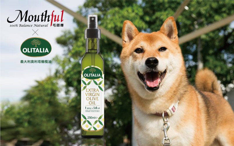 柴犬大學X奧利塔  特級初榨橄欖油 噴頭設計 寵物專用 保健品 - 其他 - 玻璃 