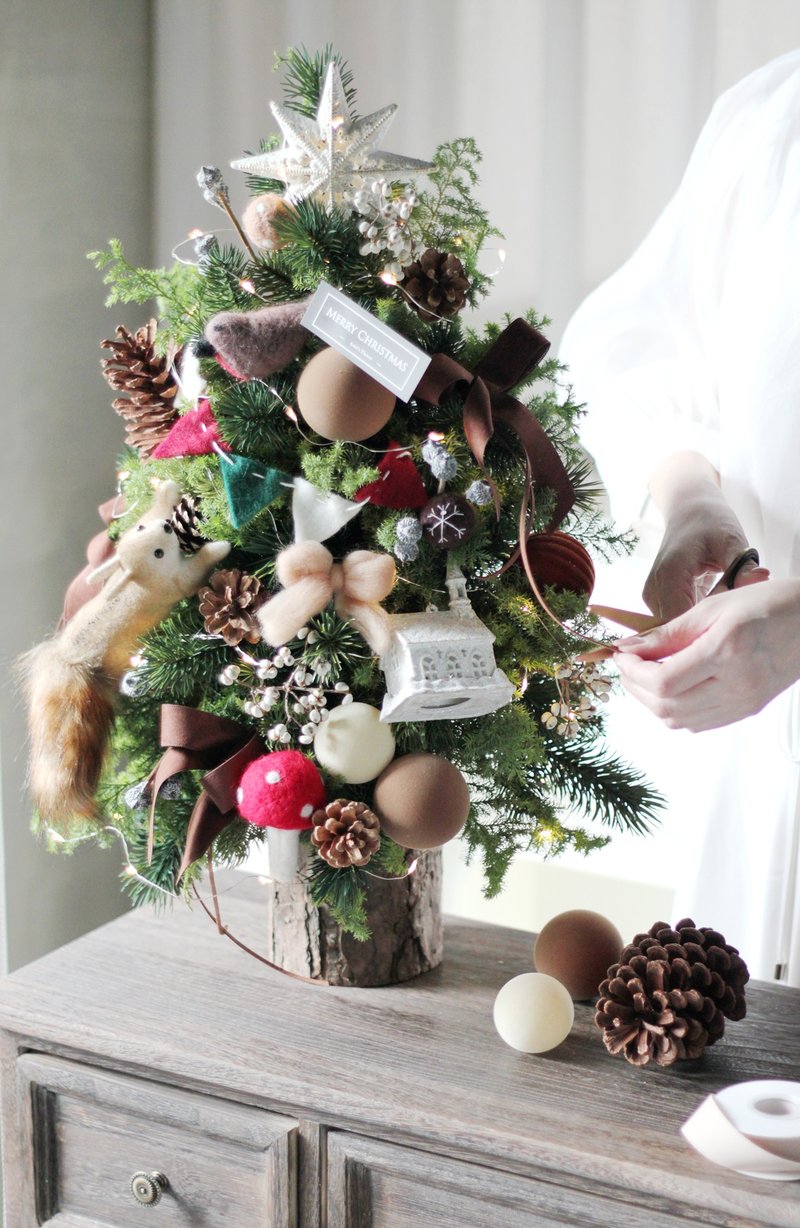 自然の森系【フレッシュクリスマスツリー】ノーブルモミとシダーのクリスマスツリー - 観葉植物 - 寄せ植え・花 多色