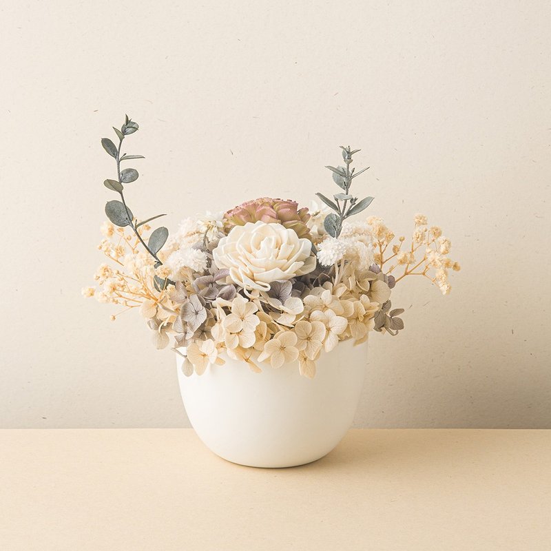 White moonlight small potted flowers, opening flowers, new home completion, birthday gifts, Valentine's Day immortal flowers - Dried Flowers & Bouquets - Plants & Flowers 