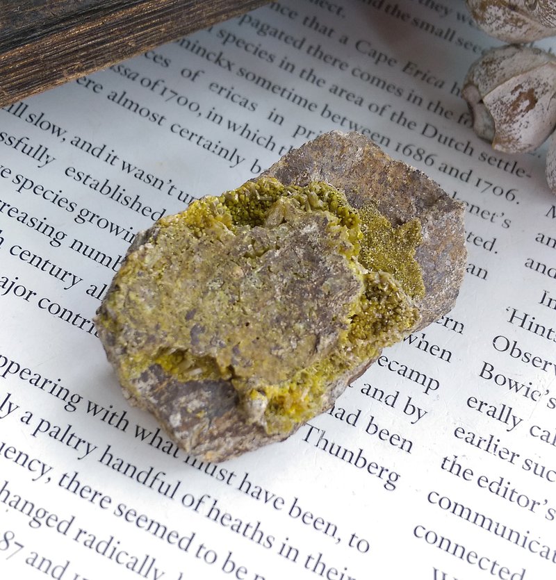 Pyromorphite 廣西產地 磷氯鉛礦 天然礦石 原礦 - 擺飾/家飾品 - 其他材質 