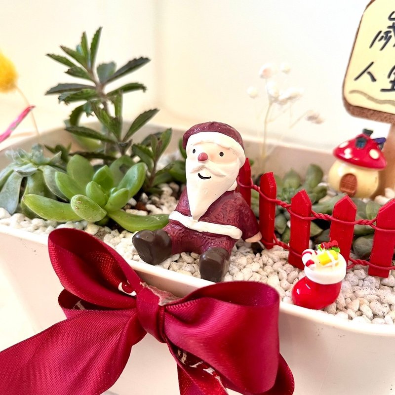 聖誕老人 聖誕襪 聖誕屋 微景觀盆栽 多肉盆栽 多肉組盆 客製化 - 植栽/盆栽 - 植物．花 綠色