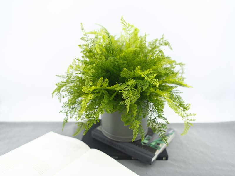 波斯頓蕨皮革籃植栽 / 波斯頓蕨 / 擬真植物 / 禮物 / 永不凋零 - 盆栽/植栽 - 其他材質 綠色