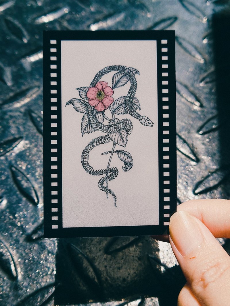 底片風半透明塑料小卡 蛇骨與花 - 卡片/明信片 - 紙 黑色