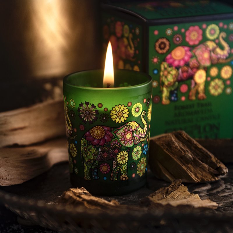 SPA CEYLON | Wild Forest Essential Oil Candle Limited Celebration 50g - เทียน/เชิงเทียน - น้ำมันหอม สีเขียว