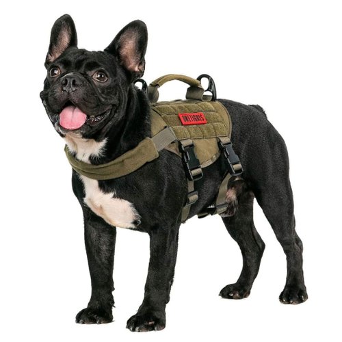 The Tactical Paws Onetigris 戰術胸帶 (野獸魔精系列)