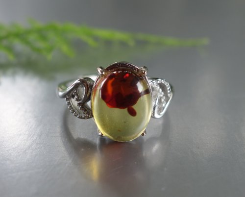 山奇藝術 Amber 琥珀 天然波羅的海金珀 戒指 2.65克 植物珀 花珀 非二代琥
