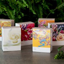 【Pinkoi 限定輕巧茶包36入】烏龍茶/紅茶/黃梔/桂花