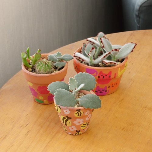 【陶磁器】【手描き】ニュー  花鉢♪ ♪ 陶磁器】【手描き】ニュー 花鉢♪ ♪
