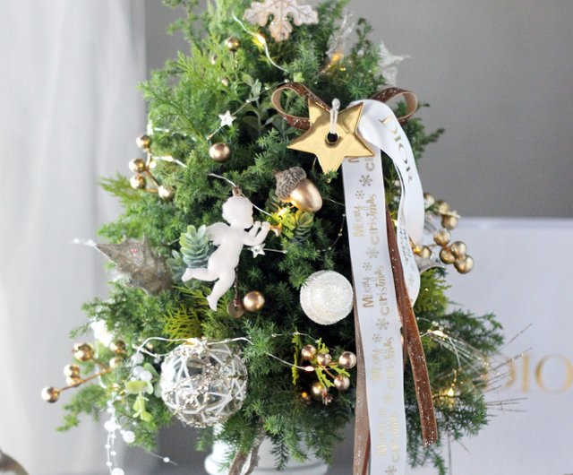 クリスマスフラワーギフト【フレッシュシダークリスマスツリー