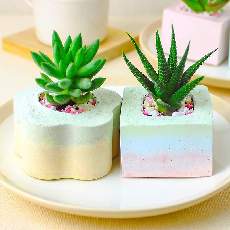 Cement potted plants | healing more meat: flower side 2 into (Maccaron gradient layer) | without plants - Plants - Cement Multicolor