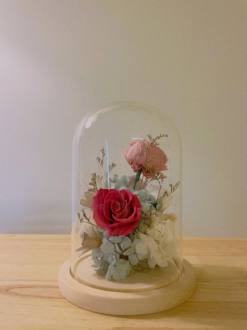 Light Morandi Preserved Flower Cover Offer - ช่อดอกไม้แห้ง - พืช/ดอกไม้ 