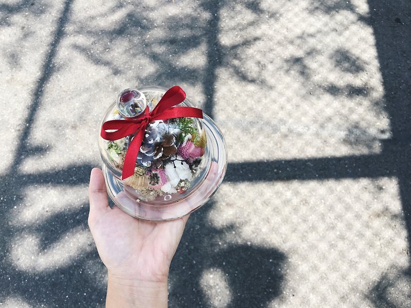 [good flower] Christmas pine cone glass flower bud dry flower gift exchange gift with Christmas packaging - ตกแต่งต้นไม้ - พืช/ดอกไม้ สีแดง