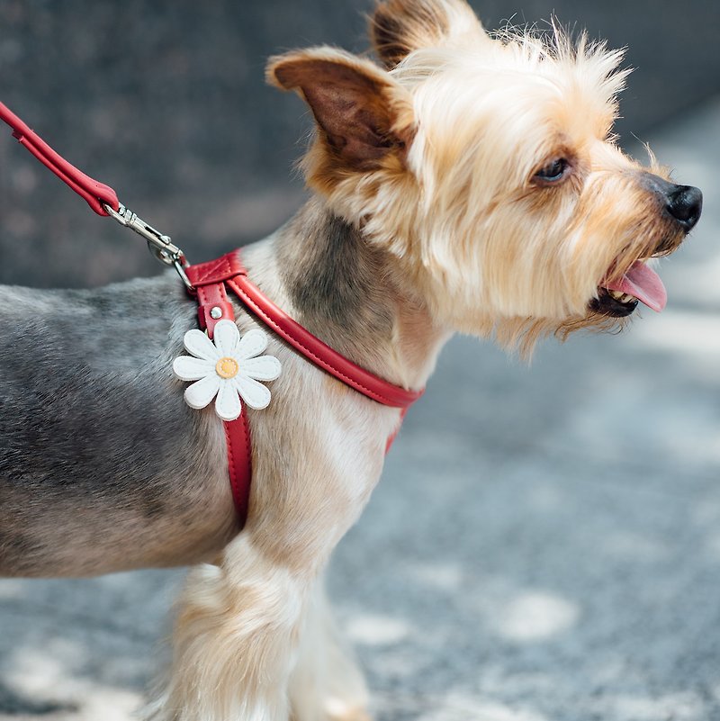 [Tail and Me] Natural Concept Leather Leash Garnet Red - Collars & Leashes - Other Materials Red
