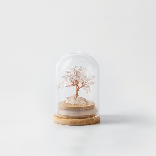 MONTAGNE 山造 【Montagne】Preserved | 白水晶樹 | 全效。擴大 水晶