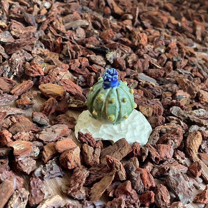 【陶多肉植物-兜】香氛精油 擴香石 戒台 手作 禮物 多肉 擺飾 - 香氛/精油/擴香 - 陶 綠色