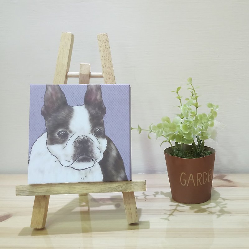 Small Picture Frame-Lightweight Frameless Picture-Boston Terrier - โปสเตอร์ - พลาสติก 