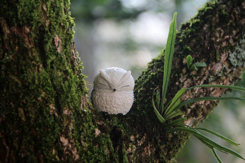 Squint Owl (White) - ของวางตกแต่ง - เรซิน ขาว