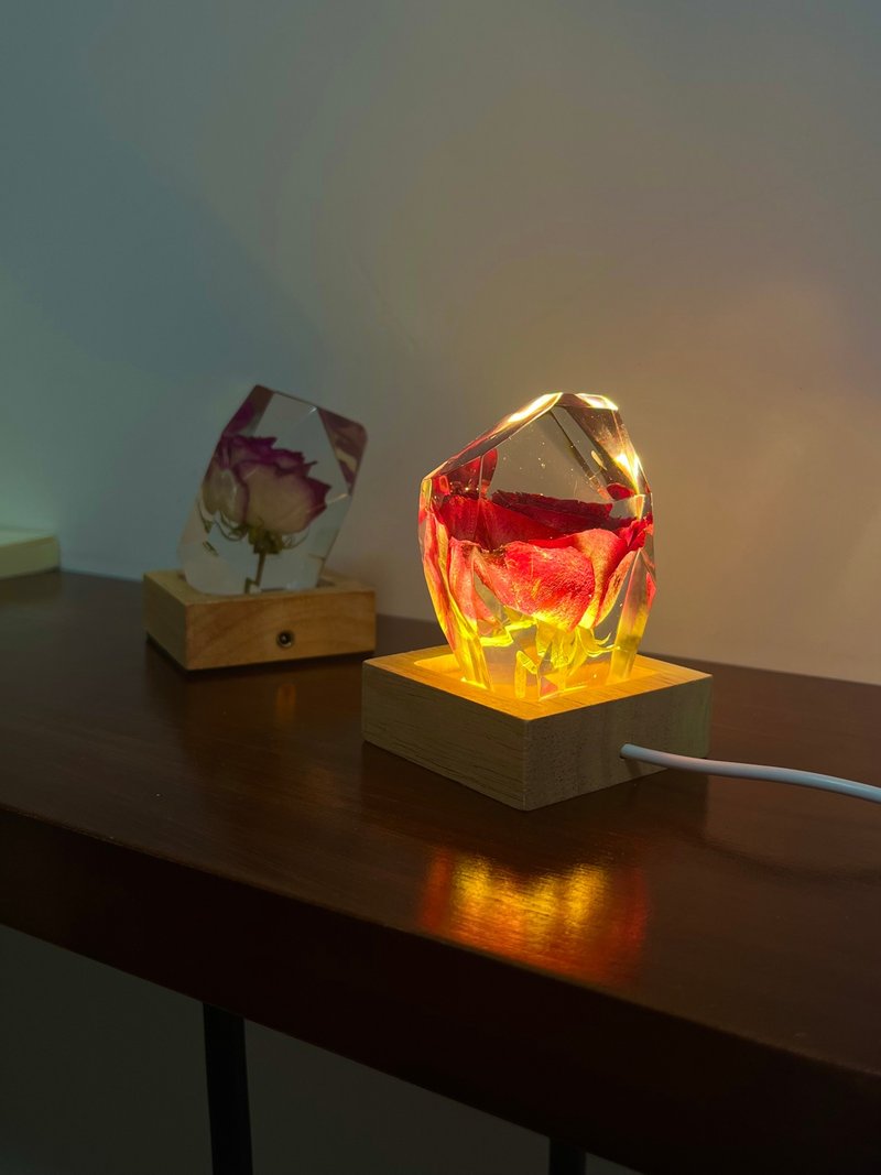 Diamond Rose Series/Eternal Flower Dried Flower Night Light - ช่อดอกไม้แห้ง - พืช/ดอกไม้ 