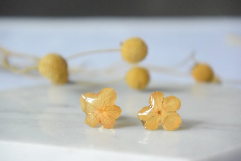 [Earrings Series] Depressed flower dried flower earrings can be customized birthday commemorative wedding sister bb Mother's Day gift - Earrings & Clip-ons - Plants & Flowers Yellow