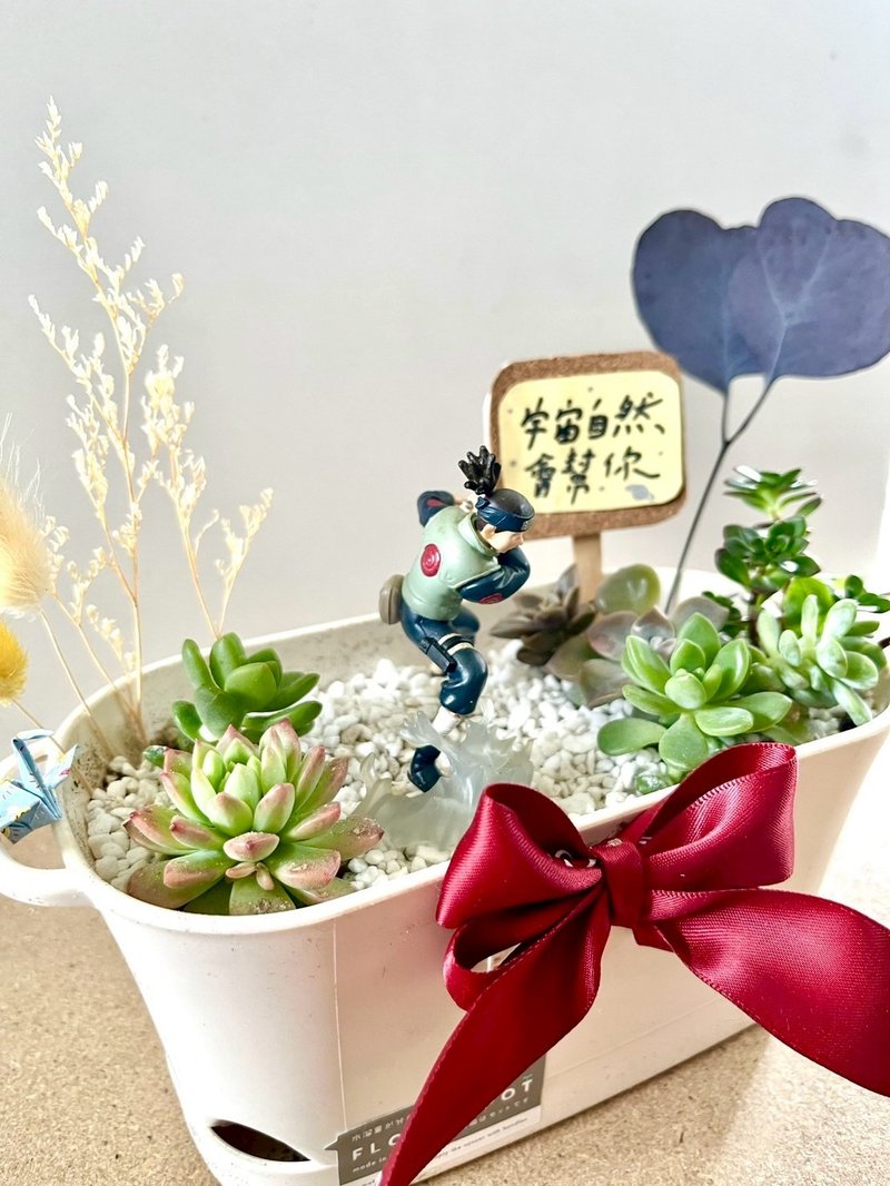 多肉組盆 多肉植物 日式 火影忍者 忍者 教師送禮 教師節 禮物 - 盆栽/植栽 - 植物．花 綠色