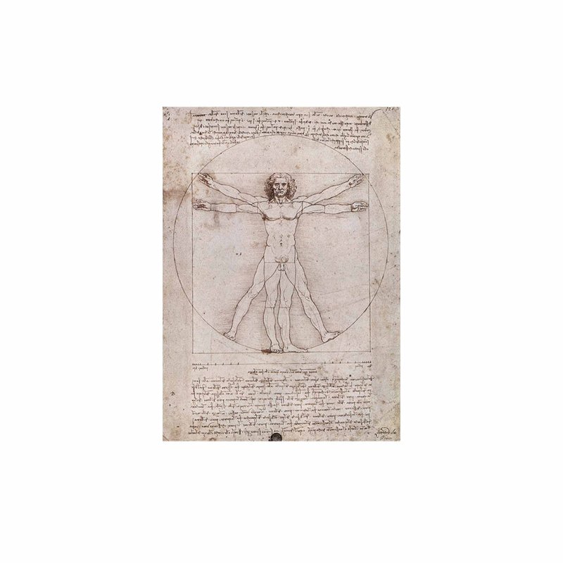 Italy IFI Postcard Vitruvian Man - การ์ด/โปสการ์ด - กระดาษ หลากหลายสี