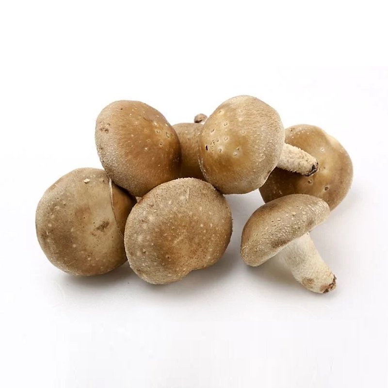 【鄉菇香】新鮮有機厚鮮香菇免運組 - 其他 - 其他材質 咖啡色