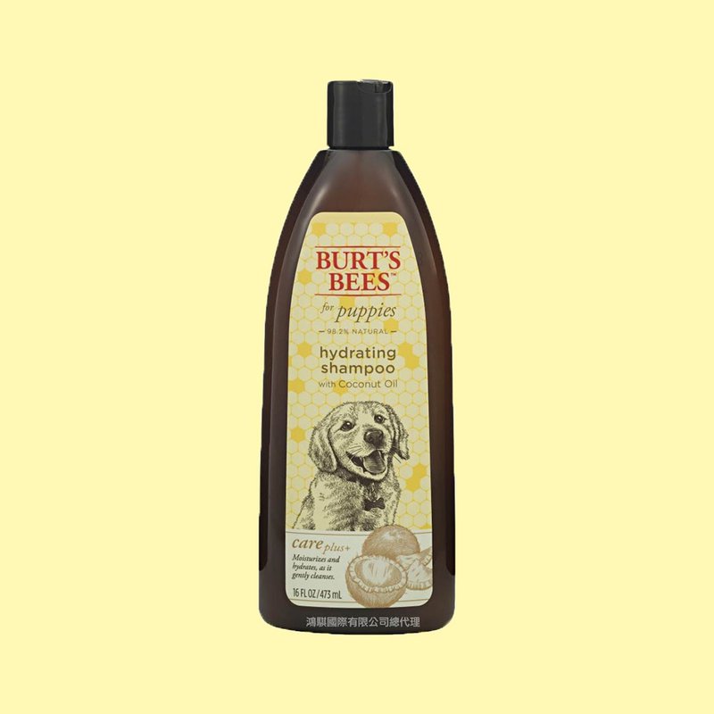 Burt's Bees Grandpa Honey Bee Purifying Body Wash 16oz - Cleaning & Grooming - Other Materials Orange