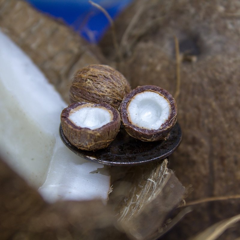 TUTORIAL Miniature coconut with polymer clay | PDF + video - 手工藝教學/工具書 - 其他材質 