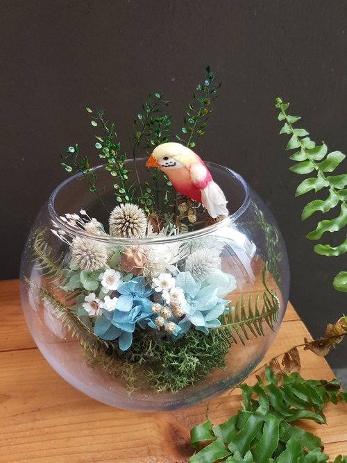 海藏設計 PIRATE DESIGN 海藏設計│Rainforest 熱帶雨林玻璃球。乾燥花玻璃。開幕花禮